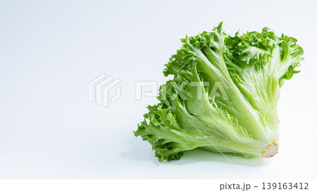 フリルレタス 白背景の新鮮な葉物野菜 フリルレタス 白背景の新鮮な葉物野菜 139163412