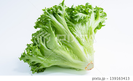 フリルレタス 白背景の新鮮な葉物野菜 139163413