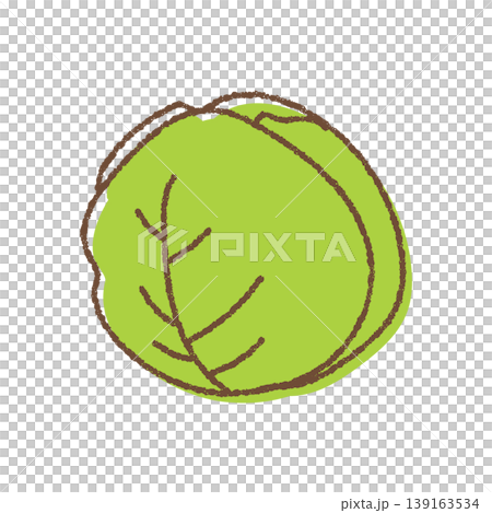 A simple, hand-drawn illustration of a cabbage. 139163534