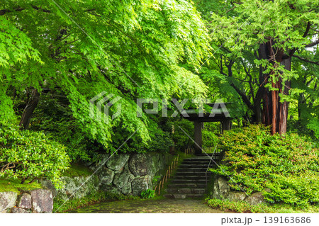 【新緑】熱海・MOA美術館の日本庭園 【新緑】熱海・MOA美術館の日本庭園 139163686