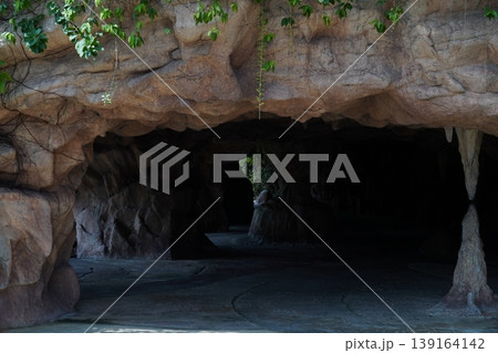 Cave Entrance with Overhanging Greenery and Stalactites 139164142