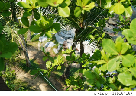 Tropical Beach View Through Leaves and Palm Trees Tropical Beach View Through Leaves and Palm Trees 139164167
