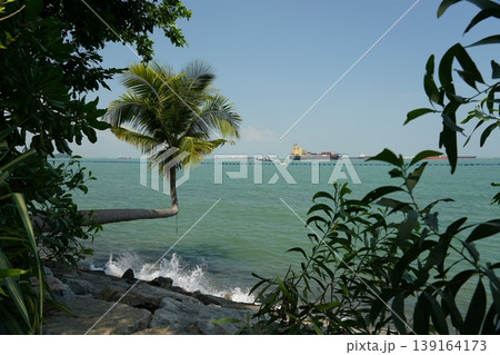 Tropical Beach with Leaning Coconut Palm Tree Tropical Beach with Leaning Coconut Palm Tree 139164173