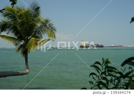 Ocean view with container ships and a Cocos nucifera palm Ocean view with container ships and a Cocos nucifera palm 139164174