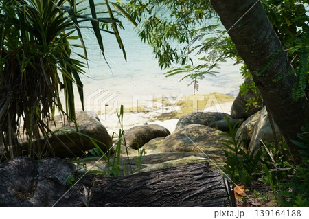 Tropical Beach View Through Trees and Rocks 139164188