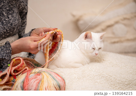 編み物をする飼い主の傍らでリラックスするオッドアイの白猫 編み物をする飼い主の傍らでリラックスするオッドアイの白猫 139164215