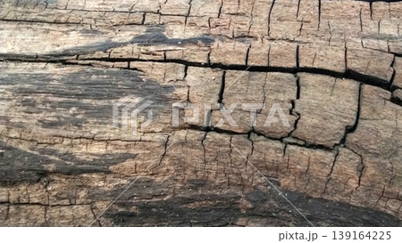 Natural Cracked Wood Texture with Wear Pattern and Rough Details Natural Cracked Wood Texture with Wear Pattern and Rough Details 139164225