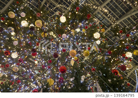 クリスマスツリー 139164795