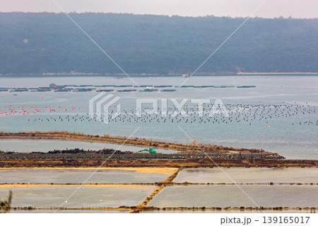 Saltpans Adriatic Sea Slovenia Saltpans Adriatic Sea Slovenia 139165017