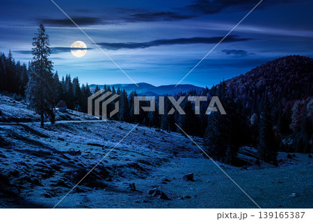 fir trees on a meadow down the hill to coniferous forest in mountains of Romania nature at night. full moon over view of remote colorful forest at the foot of a mountain in autumn. mysterious fantasy fir trees on a meadow down the hill to coniferous forest in mountains of Romania nature at night. full moon over view of remote colorful forest at the foot of a mountain in autumn. mysterious fantasy 139165387