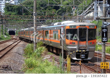 ［CA］東海道本線313系8000番台（熱海⇔浜松） 139165422