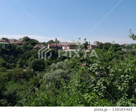 Lush Green Park View with Trees and Cityscape Under Clear Blue Sky Lush Green Park View with Trees and Cityscape Under Clear Blue Sky 139165482
