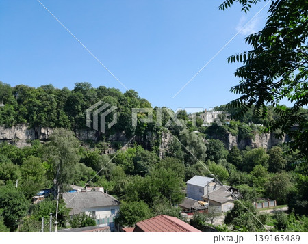 Lush Green Park View with Trees and Cityscape Under Clear Blue Sky Lush Green Park View with Trees and Cityscape Under Clear Blue Sky 139165489