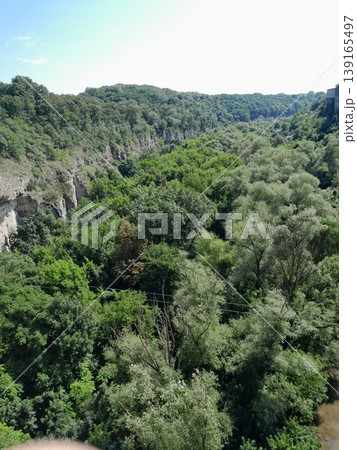 Lush Green Park View with Trees and Cityscape Under Clear Blue Sky Lush Green Park View with Trees and Cityscape Under Clear Blue Sky 139165497
