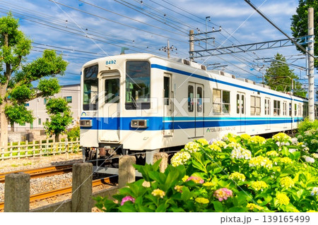 紫陽花と鉄道・東武アーバンパークライン・8000型 紫陽花と鉄道・東武アーバンパークライン・8000型 139165499