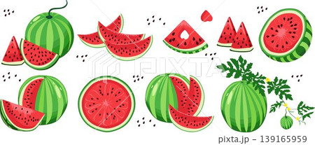 en this high quality vector collection includes images of whole watermelons slices and circles along with elements featuring stems and flowers. it features a unique triangular slice with a heart cutou 139165959