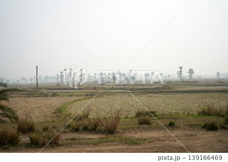 Rural Landscape Of Barren Agricultural Fields In West Bengal India Rural Landscape Of Barren Agricultural Fields In West Bengal India 139166469