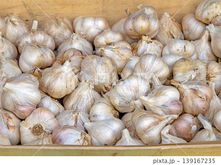 Organic garlic pile in crate 139167235