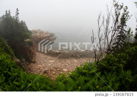 Rocky beach coastline disappearing into thick ocean fog 139167815