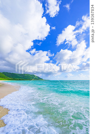 石垣島　エメラルドグリーンに包まれた明石ビーチの風景 139167834