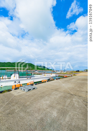 石垣島　エメラルドの海が広がる船越漁港の夏景色 139167849