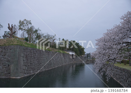 京の風景 元離宮二条城散策路から望むお堀と桜11 京の風景 元離宮二条城散策路から望むお堀と桜11 139168784