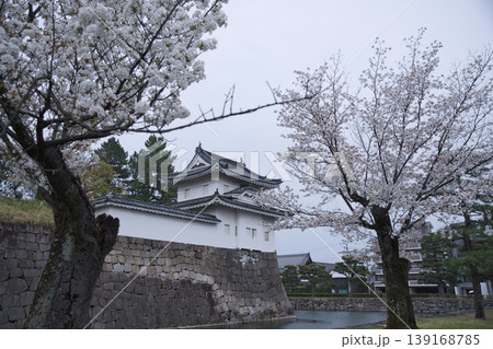 京の風景 満開の桜越しに観る西南隅櫓11 京の風景 満開の桜越しに観る西南隅櫓11 139168785