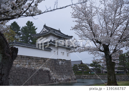 京の風景 満開の桜越しに観る西南隅櫓1 京の風景 満開の桜越しに観る西南隅櫓1 139168787
