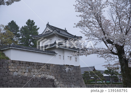 京の風景 満開の桜越しに観る西南隅櫓6 京の風景 満開の桜越しに観る西南隅櫓6 139168791
