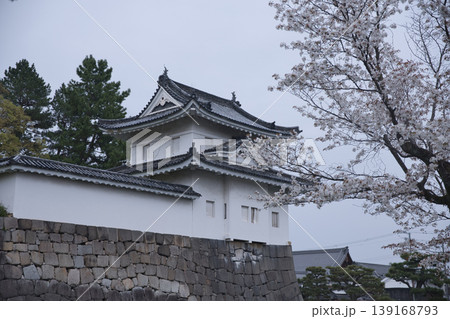 京の風景 満開の桜越しに観る西南隅櫓4 京の風景 満開の桜越しに観る西南隅櫓4 139168793