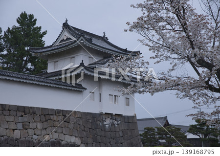 京の風景 満開の桜越しに観る西南隅櫓2 京の風景 満開の桜越しに観る西南隅櫓2 139168795