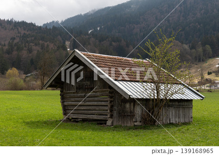 Rustic Wooden Alpine Hut in Green Meadow 139168965