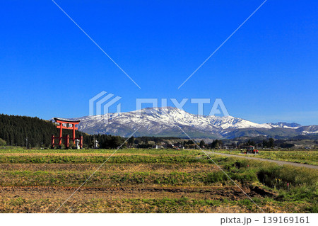 2026年4月25日　出羽三山　鳥居と月山 139169161