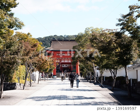 伏見稲荷大社 参道 伏見稲荷大社 参道 139169597