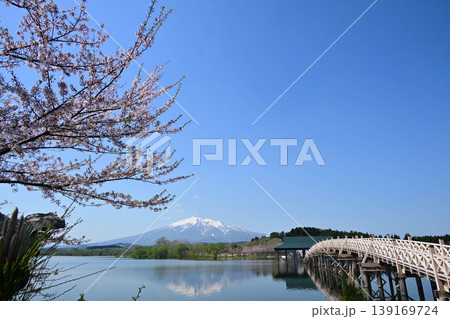改築後の鶴の舞橋と桜と岩木山 改築後の鶴の舞橋と桜と岩木山 139169724