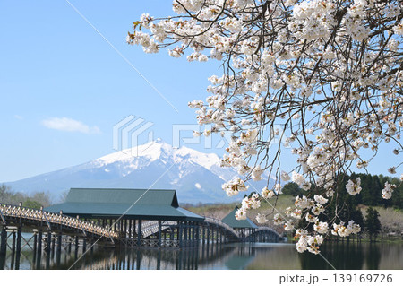 改築後の鶴の舞橋と桜と岩木山 改築後の鶴の舞橋と桜と岩木山 139169726
