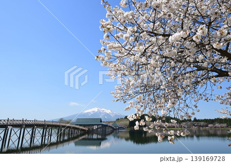 改築後の鶴の舞橋と桜と岩木山 改築後の鶴の舞橋と桜と岩木山 139169728
