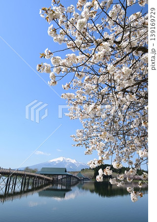 改築後の鶴の舞橋と桜と岩木山 改築後の鶴の舞橋と桜と岩木山 139169729
