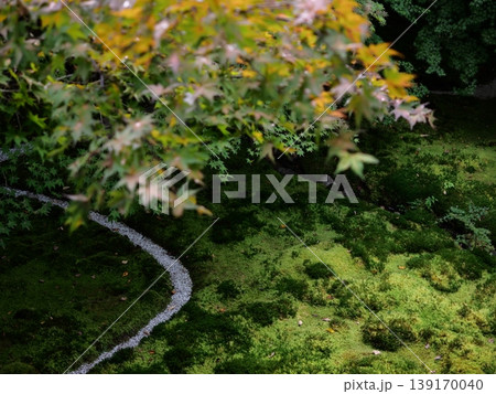 瑠璃光院　庭 139170040