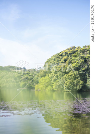 新緑の多鯰ケ池 サイクリングで楽しむイメージ 新緑の多鯰ケ池 サイクリングで楽しむイメージ 139170176