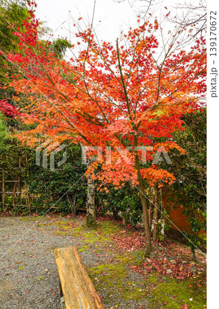 日本の秋 紅葉 日本の秋 紅葉 139170672