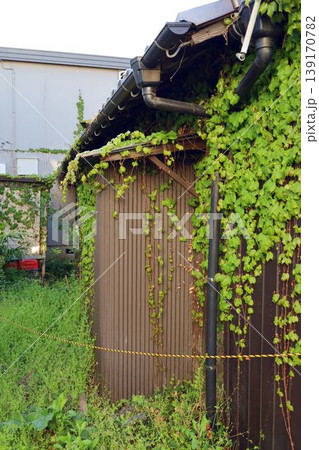 植物が生い茂っている廃屋 植物が生い茂っている廃屋 139170782