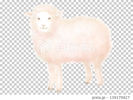 水彩手描きのかわいいひつじのイラスト 水彩手描きのかわいいひつじのイラスト 139170827