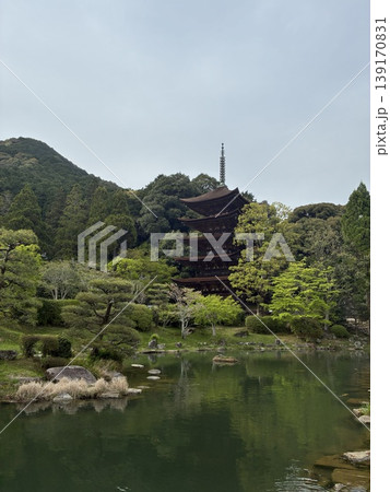 檜皮葺の改修が終わった春の桜散った後の曇り空の瑠璃光寺五重塔 檜皮葺の改修が終わった春の桜散った後の曇り空の瑠璃光寺五重塔 139170831