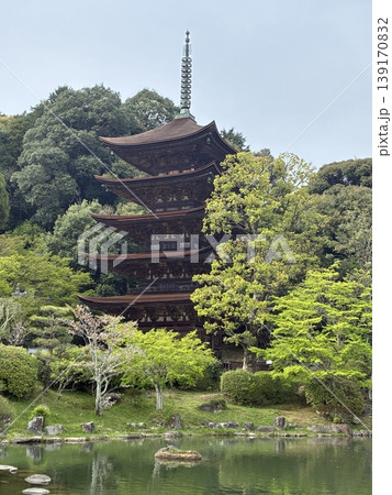 檜皮葺の改修が終わった春の桜散った後の曇り空の瑠璃光寺五重塔 139170832