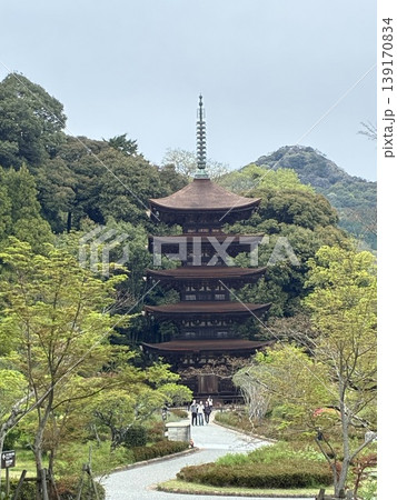 檜皮葺の改修が終わった春の桜散った後の曇り空の瑠璃光寺五重塔 檜皮葺の改修が終わった春の桜散った後の曇り空の瑠璃光寺五重塔 139170834