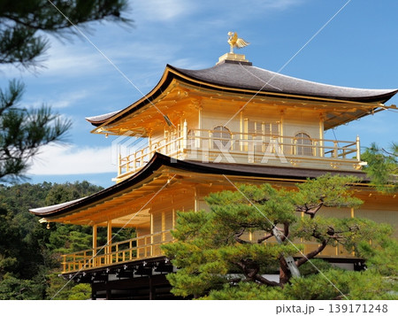 金閣寺 2021年10月 139171248
