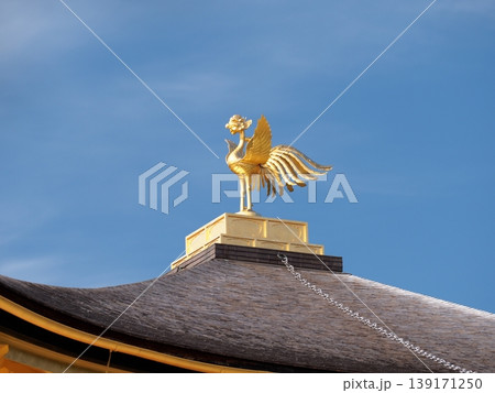 金閣寺 2021年10月 139171250