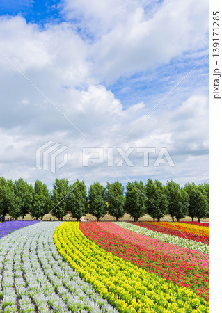 ファーム富田 139171285