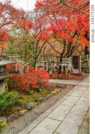 晩秋の化野念仏寺境内 晩秋の化野念仏寺境内 139171384
